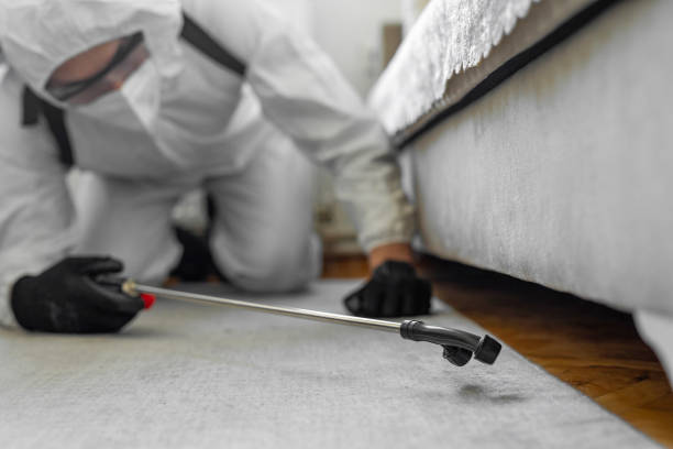 Professional Pest Control technician working in Desha County County, AR